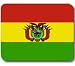 Bolivia Bolivian Flag Mousepad Mouse Pad Mat