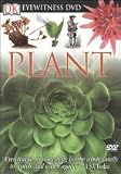 Eyewitness: Plant