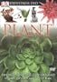 Eyewitness: Plant