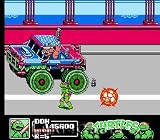 Teenage Mutant Ninja Turtles III: The Manhattan Project