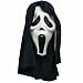 Glow in the Dark Ghost Face with Shroud Mask Costume Accessory