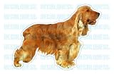 ENGLISH COCKER SPANIEL - Dog Decal - sticker car got