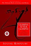 Glimpse After Glimpse: Daily Reflections on Living and Dying