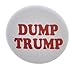 A&T Designs QTY 10 Dump Trump 1.25