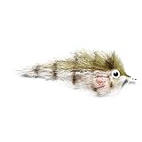 Enrico's Tarpon Pinfish