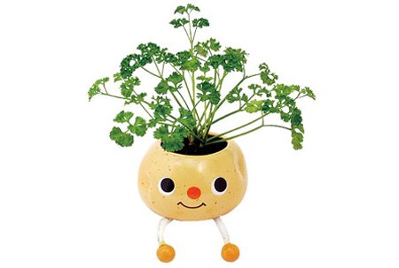 Cover image : Taterpot - Shorty - Basil