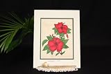 TAPA CLOTH HAWAIIAN RED HIBISCUS FLOWERS - 11 X 14 PAINTING