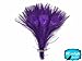 5 Pieces – Eggplant Bleached & Dyed Peacock Tail Eye Feathers 10-12” Long Halloween Craft Supply | Moonlight Feather