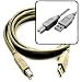 USB 2.0 High Speed Printer Cable for Lexmark, Hewlett Packard, Dell, Canon, Epson, and Others!
