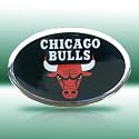 NBA Chicago Bulls Color Car Emblem