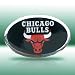 NBA Chicago Bulls Color Car Emblem