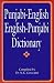 Punjabi-English/English-Punjabi Dictionary