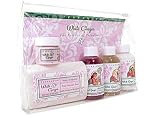 Terra Nova White Ginger-To-Go-Kit