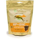 Pet Naturals Hip & Joint for Large Dogs (45 count)