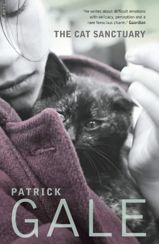 Childrens Toyshop  Books : The Cat Sanctuary