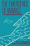 The Emergence of Animals