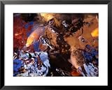 41KMD69UvYL. SL160  Fish in a Pool of Water, Manado, North Sulawesi, Indonesia Styles Framed Art Poster Print by Greg Elms, 31x25