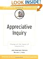 Appreciative Inquiry: Change at the Speed of Imagination (J-B O-D (Organizational Development))