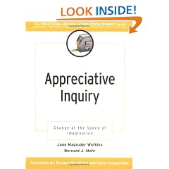 Appreciative Inquiry: Change at the Speed of Imagination