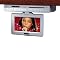 Audiovox Slim 9" LCD Drop-Down TV with DVD Player - VE926