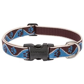 buy Dogs Accessories