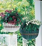 13 Hanging Basket Planter