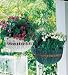 Outdoor Living : 17' Hanging Basket Planter Green only