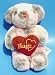 Teddy Bears; Hugs, I Love You, Messenger of Love, Halloween, Witch, Pumkin, Army