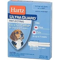 Hartz UltraGuard Reflecting Collar for Dogs