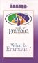 What Is Emmaus? (Emmaus Library)