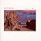 Al Di Meola Picture 10