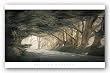 Inside a Dream by William Vanscoy 20"x38" Art Print Poster