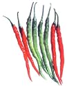 Jyoti-hot pepper seed packet