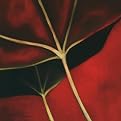 Red Leaf 2 Wall Decor