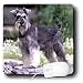 schnauzer16  - Dogs Schnauzer Schnauzer Mouse Pads