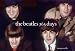 The "Beatles" 365 Days