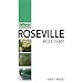 Roseville Pottery: Warman's Companion (Warman's Companion: Roseville Pottery)