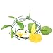 Amico Green Fabric Leaf Yellow Morning Glory Hanging Flower Vine Ornament