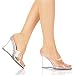 Lucious Women's SNAPSHOT-401 4" Heel Open Toe Mule, Available in 2 Styles