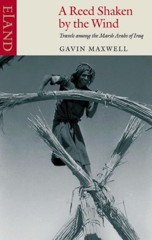 City Travel Guides Discounted  Books : A Reed Shaken by the Wind: Travels Among the Marsh Arabs of Iraq
