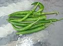 Shanti-hot pepper seed packet