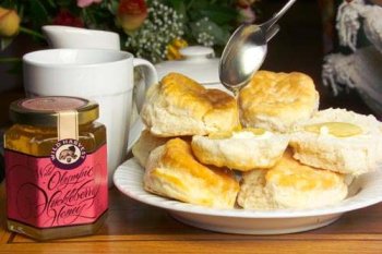Wild Olympic Red Huckleberry Honey by Honey
