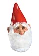 Gnome Mask - Adult Std.