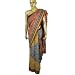 Pure Silk Printed Sarees - India Traditional Clothing (Large, Gold/Multi)