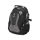 Rosewill 15.6-Inch Notebook Computer Backpack (RMBP-11001)