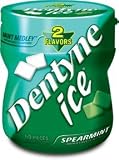 DENTYNE ICE 60PC. 4PK SPEARMINT MEDLEY