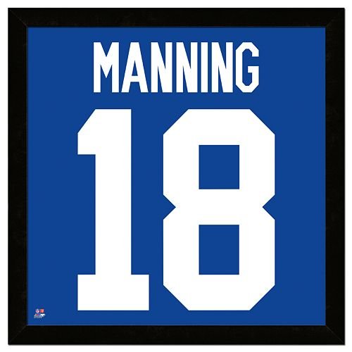 Peyton Manning Framed Jersey Photo Wall Art