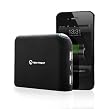 New Trent iGeek - 11,200mAh External Battery Charger for Smartphones and Tablets (IMP99D/NT99D)