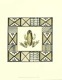 African Frog II Art Print Poster By Vision Studio, 14 