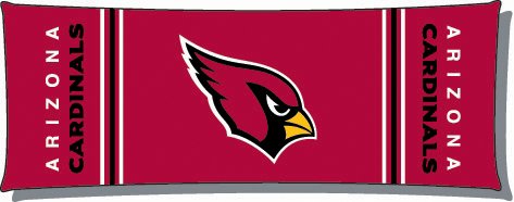 Arizona Cardinals - NFL 19